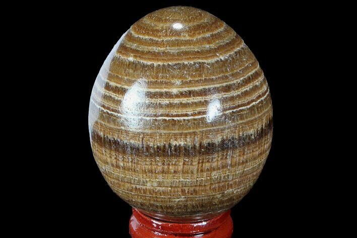 Polished, Banded Aragonite Egg - Morocco #98439
